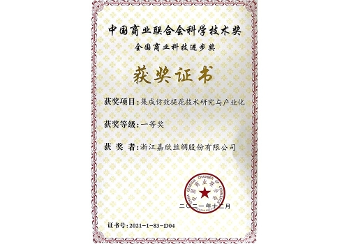集成仿效提花技術(shù)-中國商業(yè)聯(lián)合會(huì )一等獎